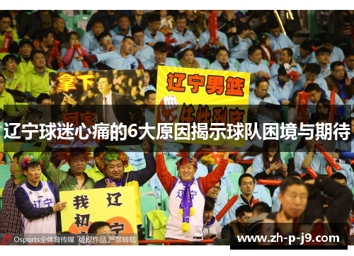 辽宁球迷心痛的6大原因揭示球队困境与期待