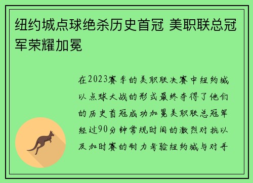 纽约城点球绝杀历史首冠 美职联总冠军荣耀加冕 纽约城点球绝杀历史首冠 美职联总冠军荣耀加冕
