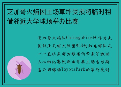 芝加哥火焰因主场草坪受损将临时租借邻近大学球场举办比赛